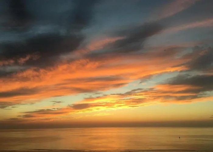 아파트 In Near The *